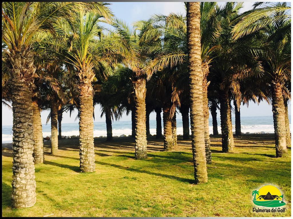 Palmeras del Golf - Torrequebrada Benalmádena Habitación foto